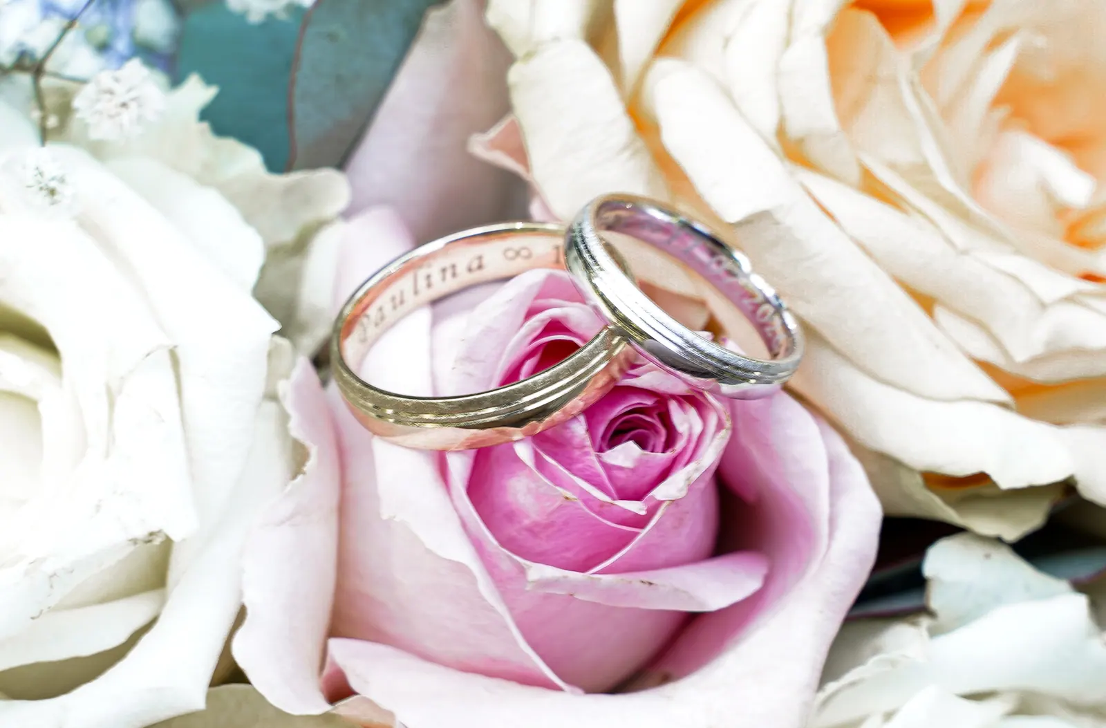 Zwei Eheringe liegen auf cremefarbenen und rosa Rosen