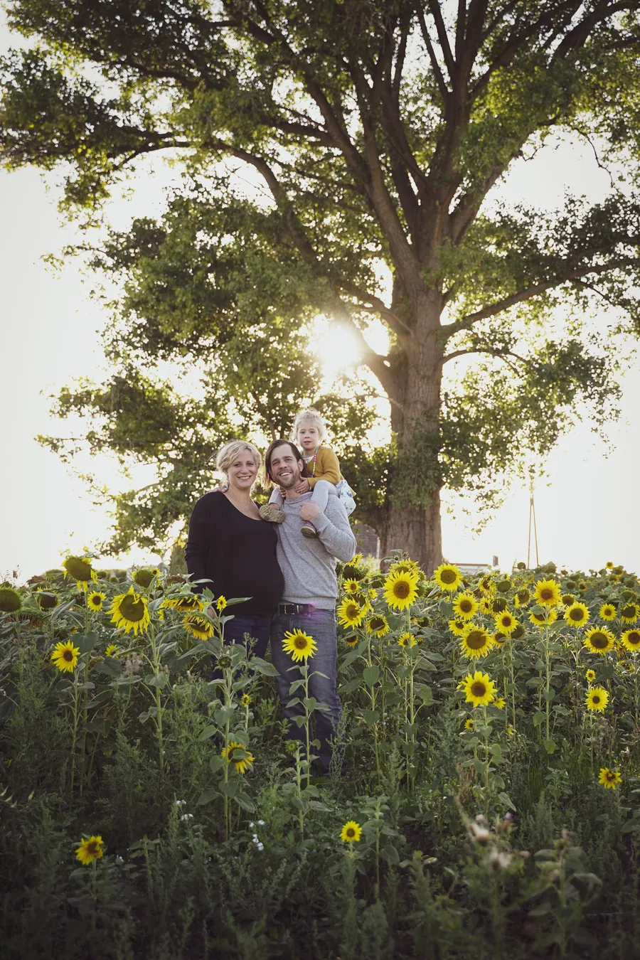 Eine Familie steht im Abendlicht zwischen Sonnenblumen unter einem großen Baum